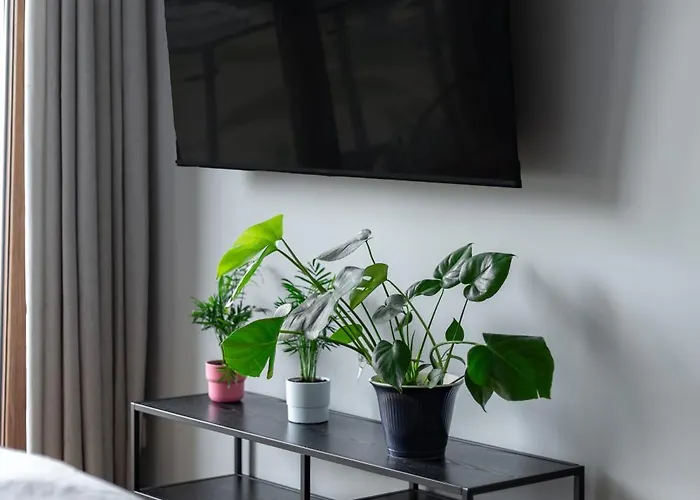 Wenecja By Fred&moris Apartment